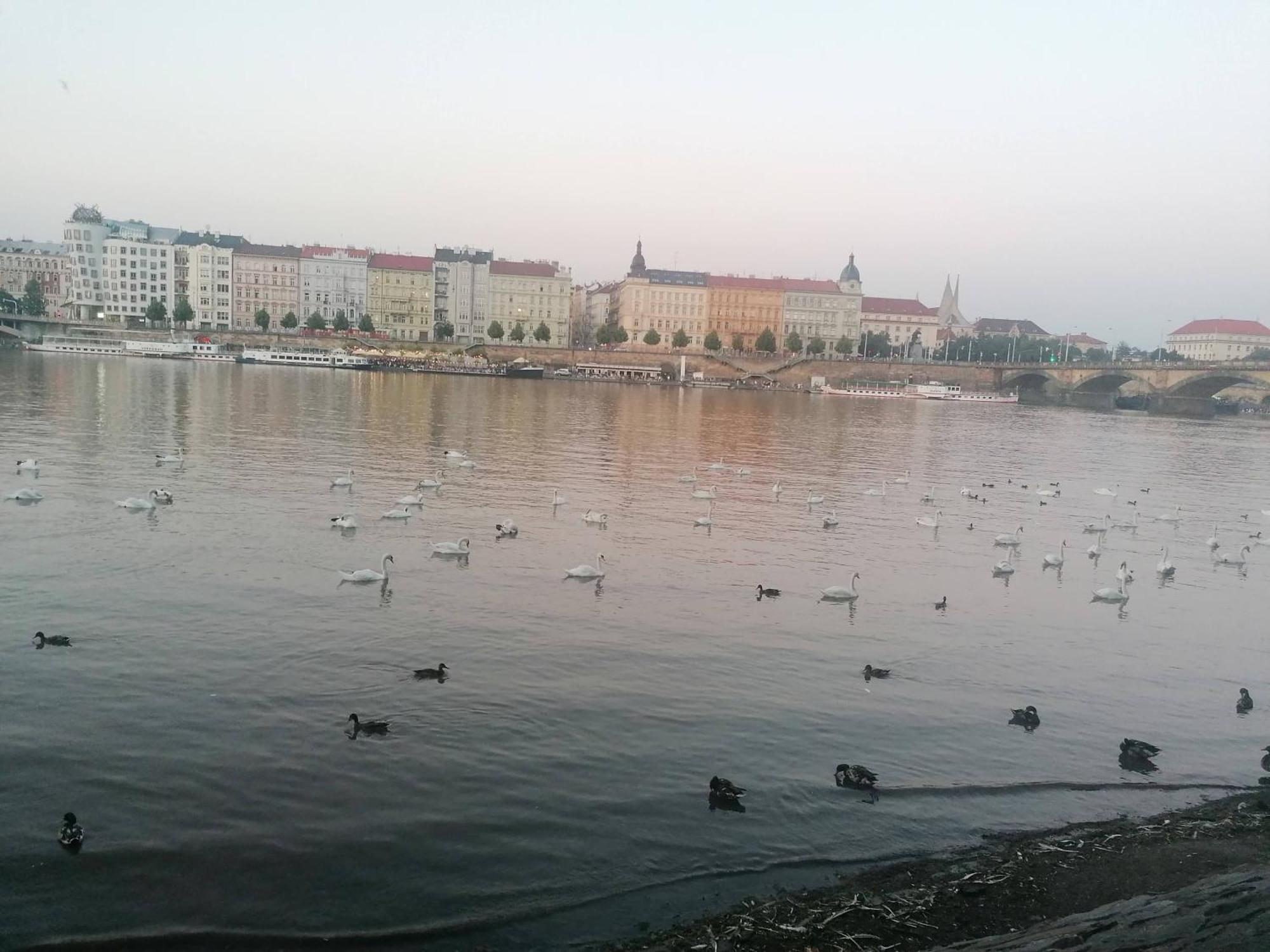 Valentinka Minutes Away From Charles Bridge Apartment Прага Екстериор снимка
